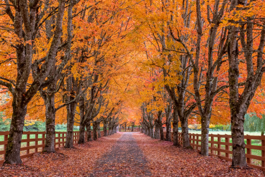 �1760897 �������(a): ����������:1920x1280